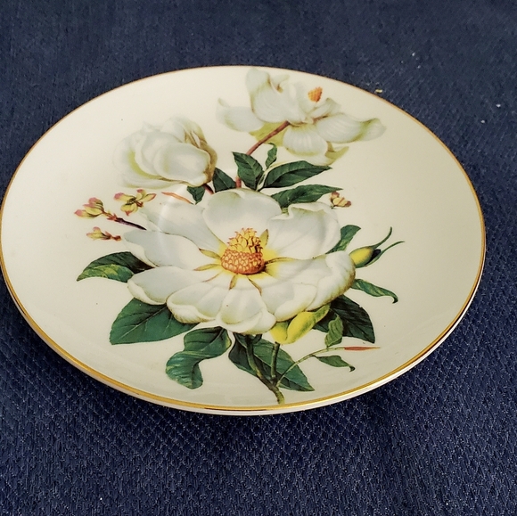 Gorgeous Teacup and Saucer by Kendal, Large White Magnolia Flowers, Bright Gold - Picture 2 of 3
